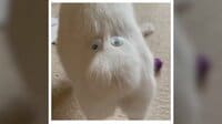 【映像】“ムーミン顔”のお尻を振って歩く猫