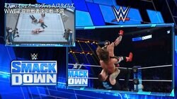 「眉山」や「牛殺し」をどう翻訳？ “プロレス界のディズニーランド”WWE実況の裏にある当意即妙の秘話【清野茂樹アナ連載#13】