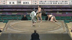 「まるでモデル」「シュとした美男子」長身美形の“オールバック”力士に熱視線 豪快上手投げで見事に完勝