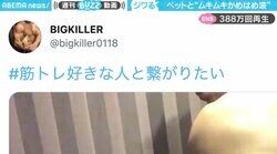 「ジワり始めたらもう止まらない」可愛いペットとムキムキの筋肉！ギャップが凄すぎる「かめはめ波」にハマる人続出