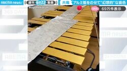 アルミホイルが奏でる！？ヴィブラフォンの“幻想的な音色”に「癒しのヒーリングミュージック」「音色が変わるの素敵」と反響
