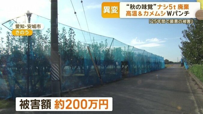 被害額はおよそ200万円