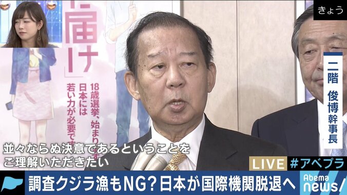 クジラ肉は本当に必要？老人のノスタルジー？IWCを脱退して商業捕獲再開を目指す日本政府の思惑は 7枚目
