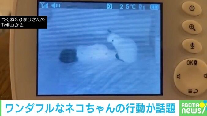 一緒に寝るニャ 赤ちゃんに寄り添う猫の姿が“尊い”と話題 投稿主「この日初めて触れ合った」 1枚目