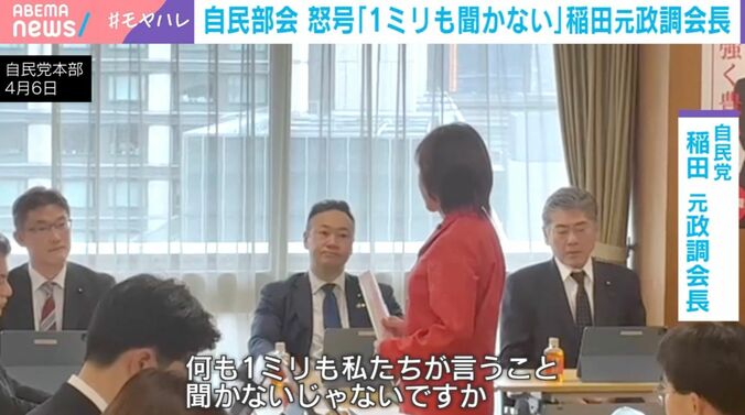 稲田朋美衆院議員