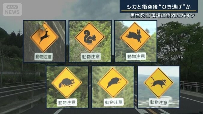 さまざまな種類の注意を促す看板