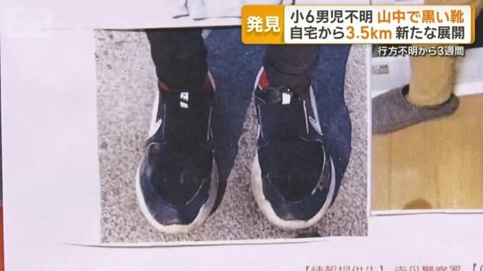 情報提供を呼びかけるチラシに載っている靴