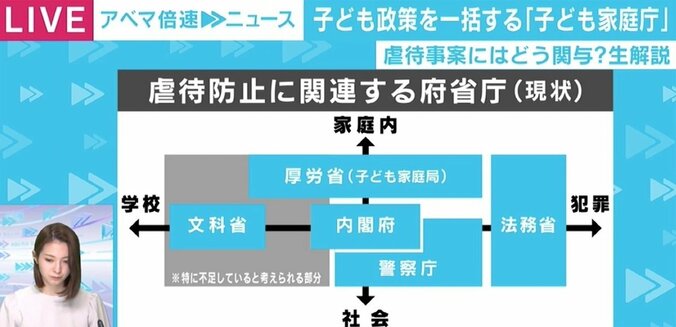 「縦割り行政打破で事故や虐待から子どもを救いたい」 子ども政策の一元化を目指す「子ども家庭庁」の実現性は 3枚目