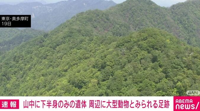 東京・奥多摩町