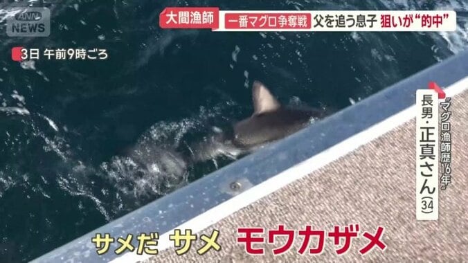 かかったのはサメ