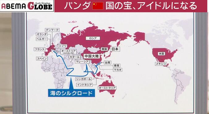 【写真・画像】中国で空前のパンダブーム？“パンダ外交”の意外な歴史とは？記者が解説「年間のレンタル料は約1億5000万円」　5枚目