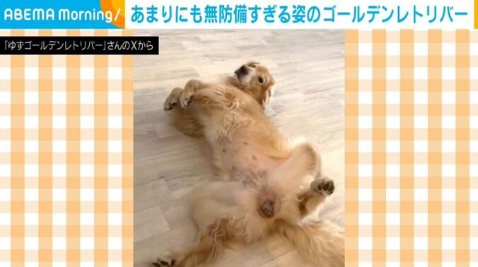 ゆずちゃん
