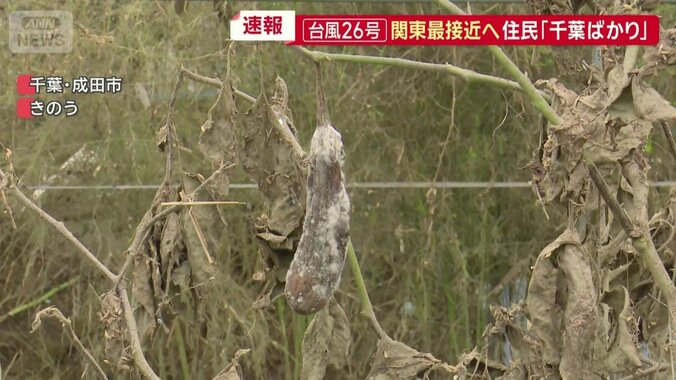 なかなか前向きになれない現状