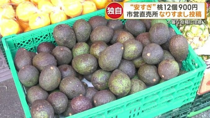 アボカド購入で被害も