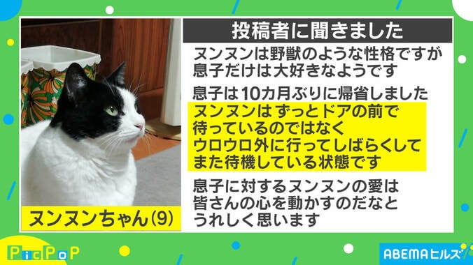 リモート授業で追い出された猫、ドアの前で待つ姿が健気すぎる…投稿主を取材 3枚目