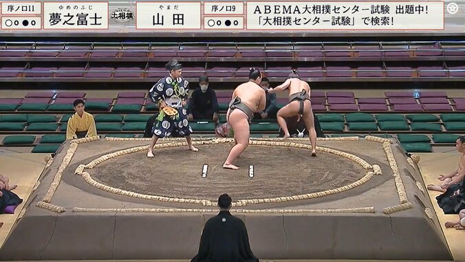 序ノ口十一枚目・夢之富士（伊勢ヶ濱）