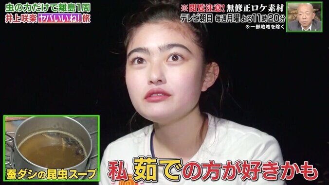 「200匹でもいける」井上咲楽、昆虫の佃煮を絶賛！　虫だけ食べる3泊4日の旅を“無修正”放送 3枚目