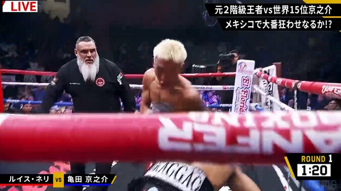 ヒザをついたネリ