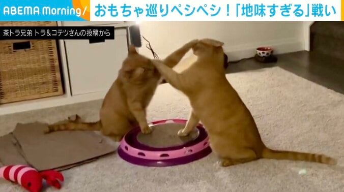 トラくんとコテツくん