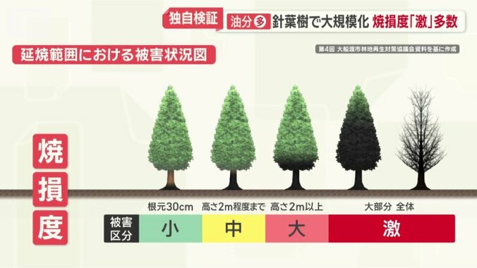 被害の深刻さを示す焼損度