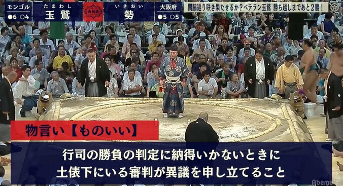 「激レアです」元前頭・若兎馬、横綱・白鵬もつけた「力士の物言い」に言及 2枚目