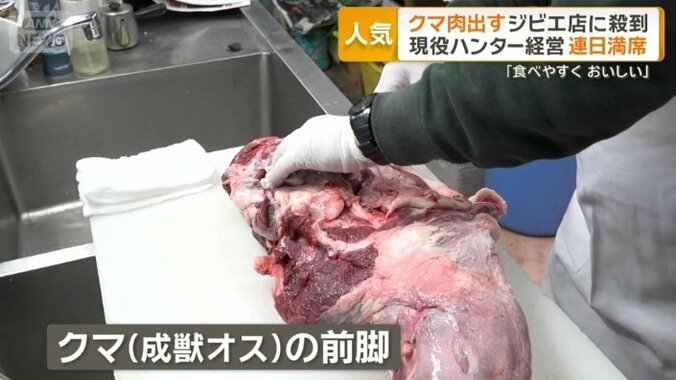 クマの前脚の肉（成獣オス）