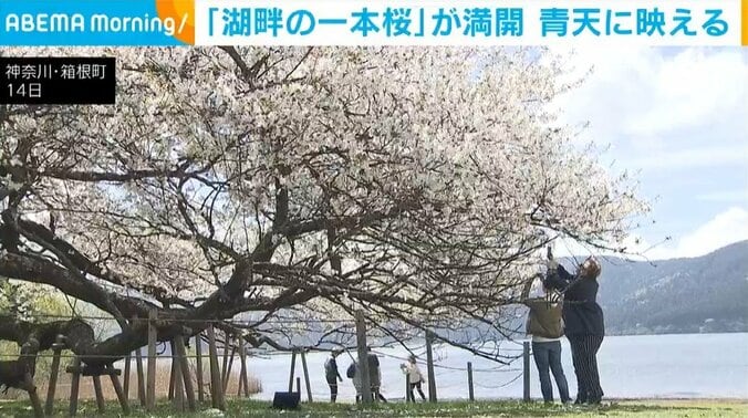 神奈川・箱根町