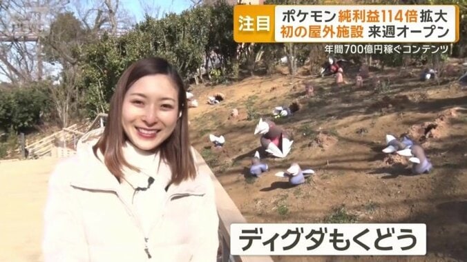 ディグダもくどう