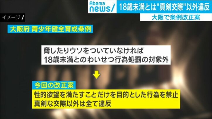 大阪府が条例改正で18歳未満とは 真摯な交際 以外禁止へ 課題は 少年への罰則 と専門家 国内 Abema Times