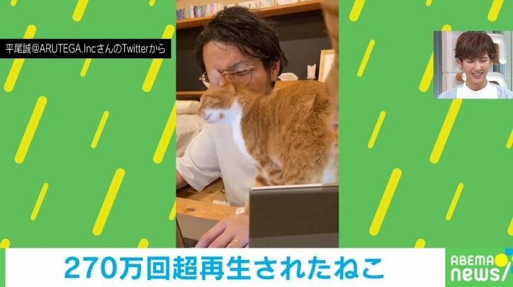 飼い主の顔に“スリスリ”する猫 何度も甘える姿に「パラダイス…！」「羨ましい」悶絶する人続出