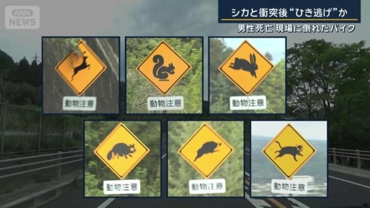 さまざまな種類の注意を促す看板