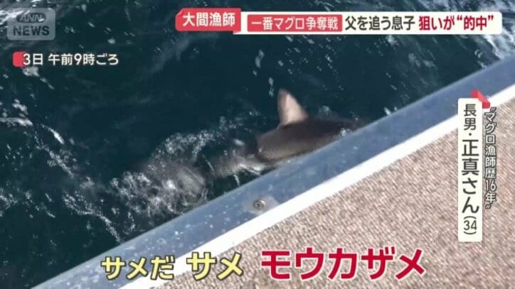 かかったのはサメ