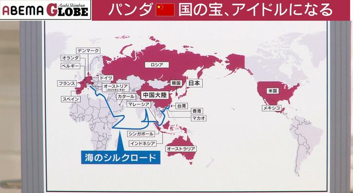 【写真・画像】中国で空前のパンダブーム？“パンダ外交”の意外な歴史とは？記者が解説「年間のレンタル料は約1億5000万円」　5枚目