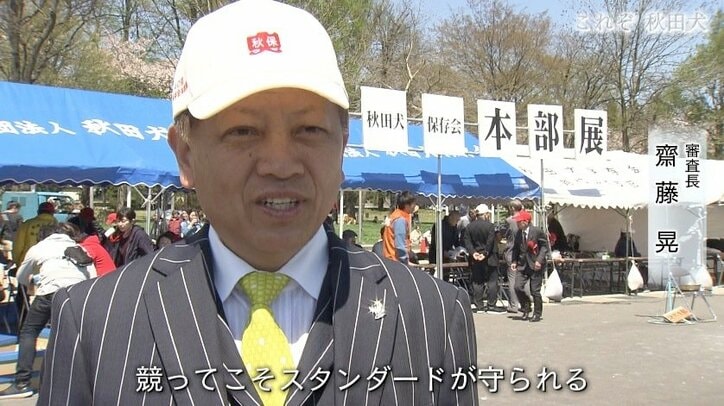 今や発祥の地に暮らすのはわずか30頭…プーチン大統領に贈られた「ゆめ」を育て上げた秋田犬ブリーダーの奮闘