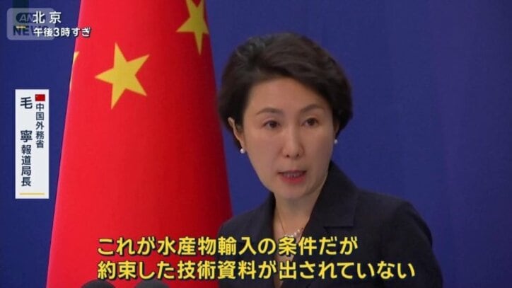 中国外務省　毛寧報道局長