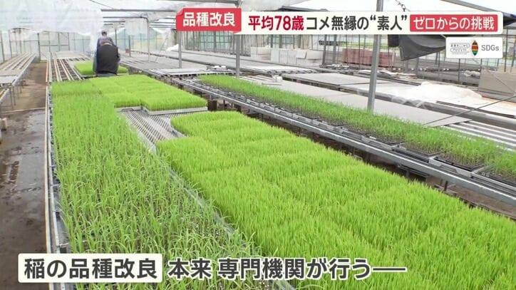 周囲の目は冷ややか…
