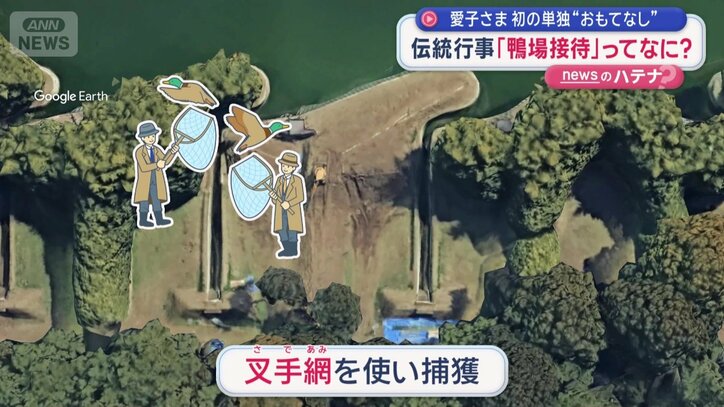 訓練されたアヒルを使ってカモを誘導する