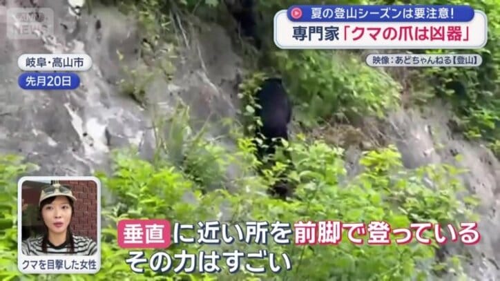  「垂直に近い所を前脚で登っている」
