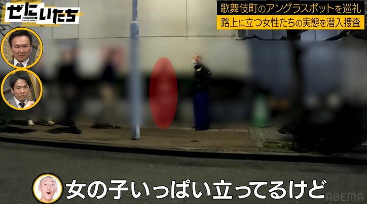歌舞伎町の“立ちんぼエリア”に潜入、15人ほどの女性が等間隔で路上に立ち…リアルな様子にかまいたち絶句「ちょっと衝撃やわ」 1枚目