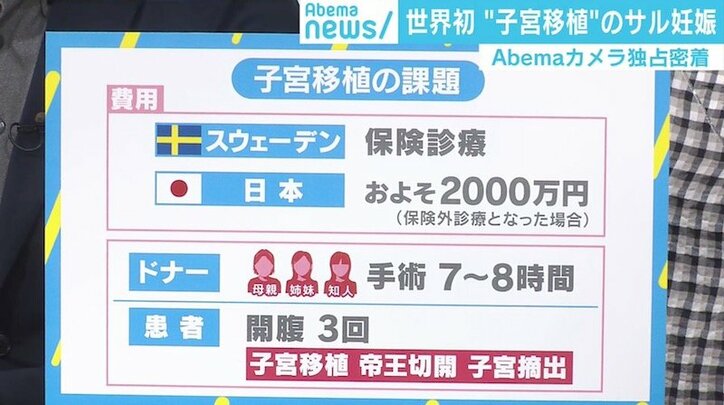 “子宮移植後”のサルで初の妊娠に成功、最新医療から見えた不妊治療の可能性と課題