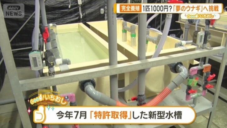 特許を取得した新型の水槽