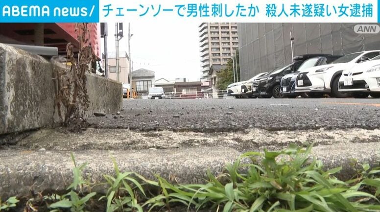 チェーンソーで男性刺したか 殺人未遂疑い女逮捕