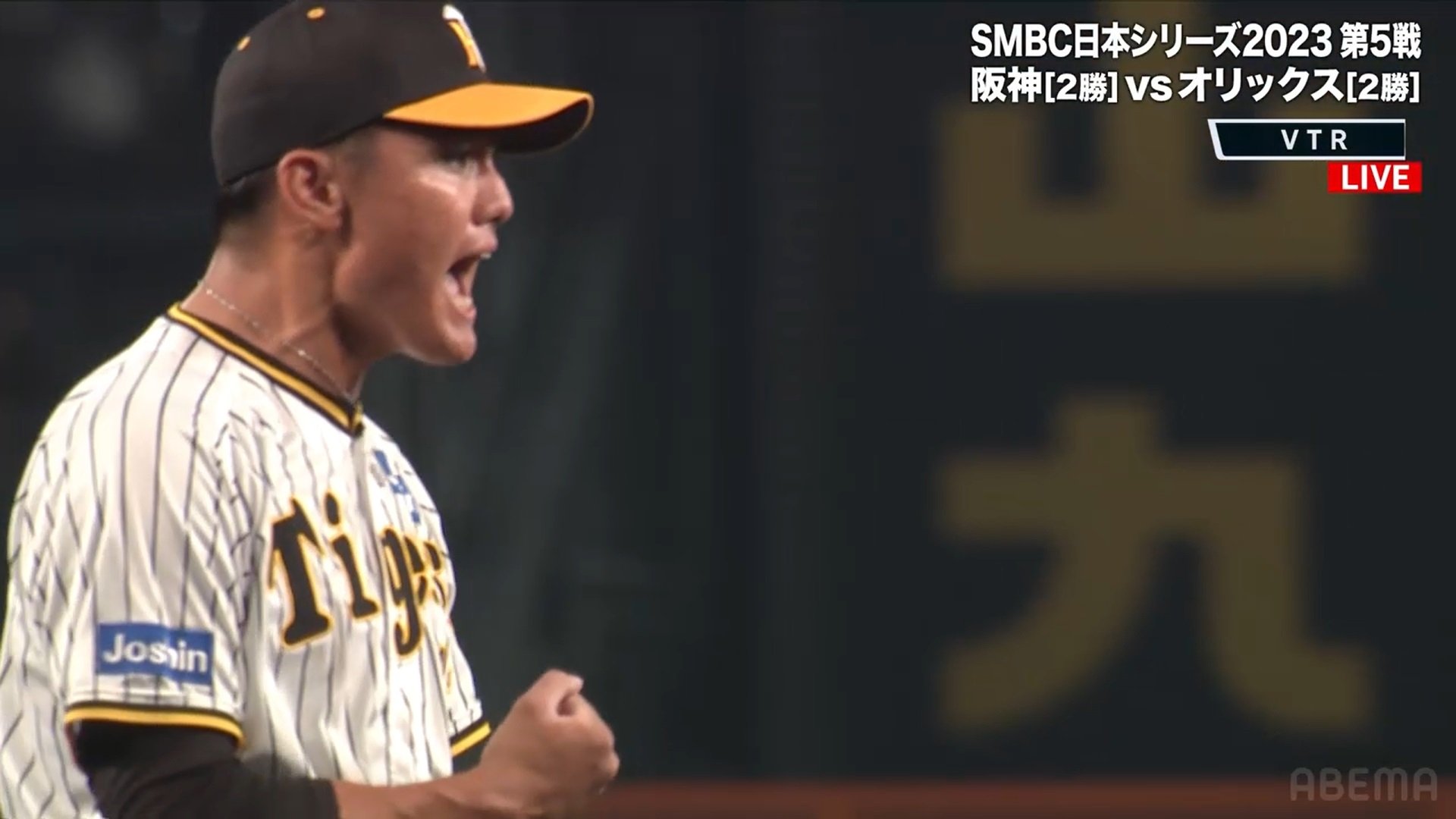 阪神優勝！15 西純也 実使用 スパイク 生半可