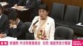 「市民監視の法案、大問題」「国家情報会議を監視する機関が必要」福島みずほ議員が主張「普通の市民は対象にならないと言うが、誰がスパイか見ないと分からない」