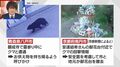冬眠明けのクマ、お供え物を狙い出没…青森の寺や京都男児殺害事件の献花台で警戒強まる