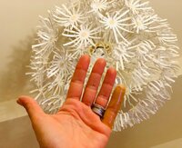 LiLiCo『やってしまった....❣️』