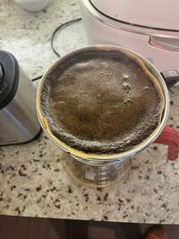 市川團十郎白猿『早く起きたので』