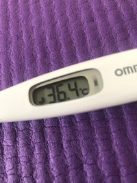 市川九團次『おはようございます』