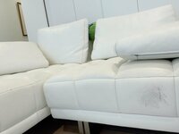 アレクサンダー『家から逃げました‼️』