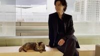 山崎賢人、映画で共演した猫とのオフムービーを披露 「かわいい」「場所変わってください」の声
